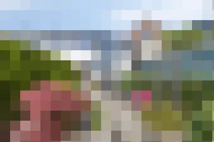 Reijerskoop 191 in Boskoop