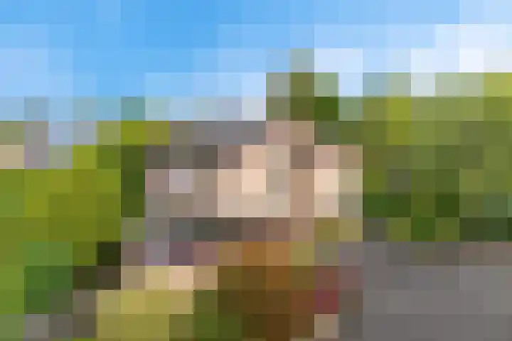 Reijerskoop 319 in Boskoop