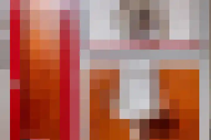 Reijerskoop 69 Boskoop thumbnail 10