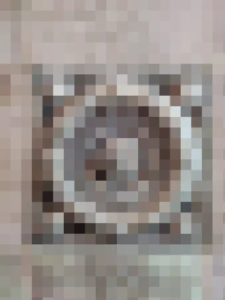Reijerskoop 69 Boskoop thumbnail 13