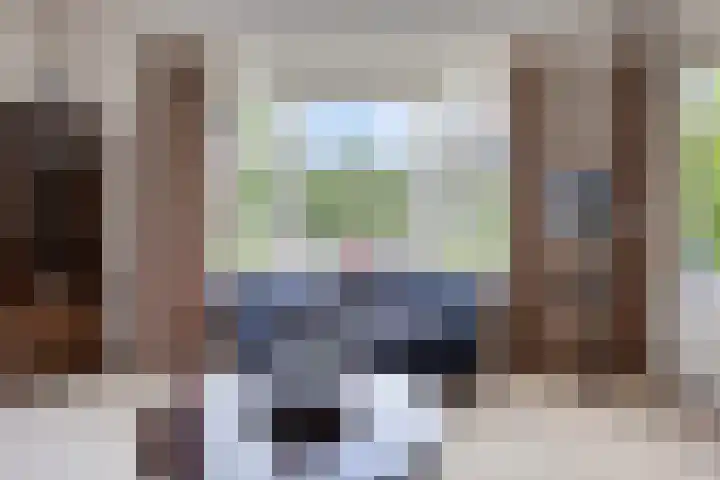 Reijerskoop 69 Boskoop thumbnail 15