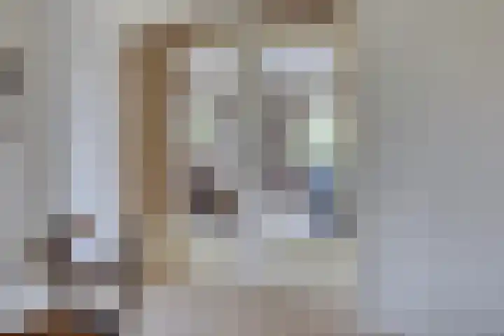 Reijerskoop 69 Boskoop thumbnail 18