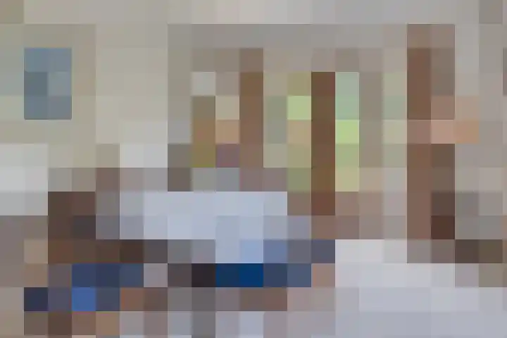Reijerskoop 69 Boskoop thumbnail 21