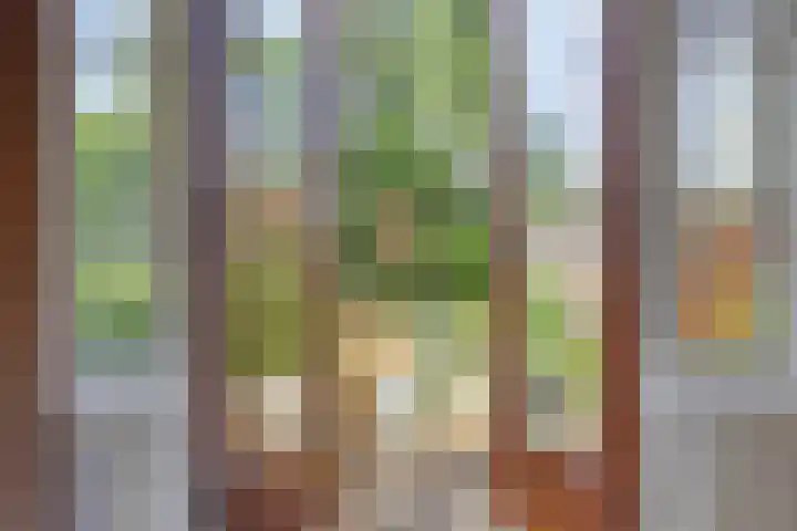 Reijerskoop 69 Boskoop thumbnail 22