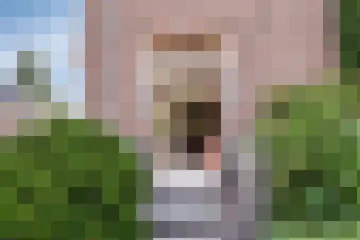 Reijerskoop 69 Boskoop thumbnail 23