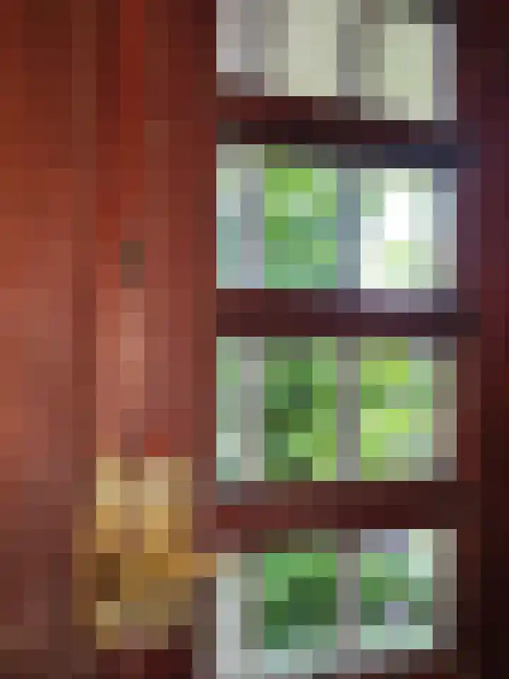 Reijerskoop 69 Boskoop thumbnail 24