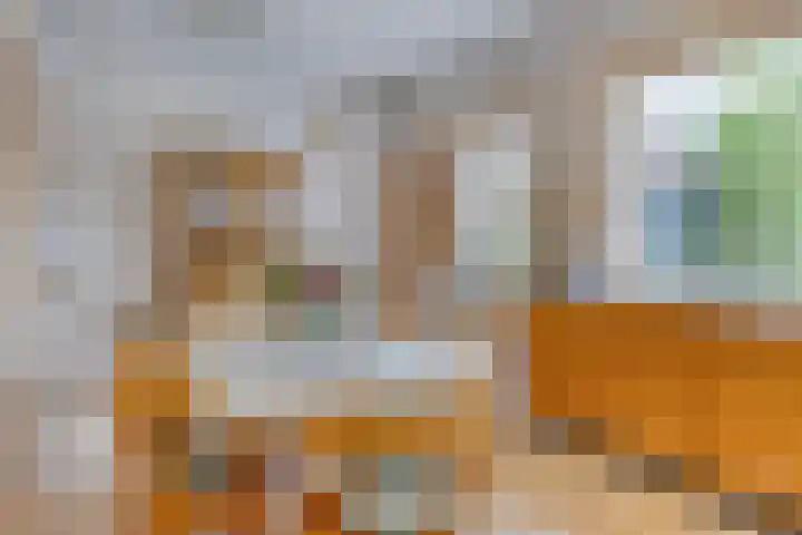 Reijerskoop 69 Boskoop thumbnail 25