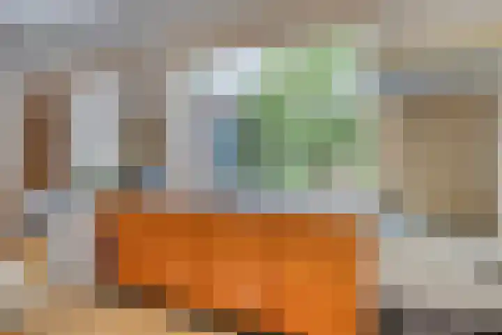 Reijerskoop 69 Boskoop thumbnail 26