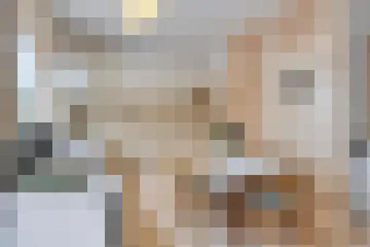 Reijerskoop 69 Boskoop thumbnail 28
