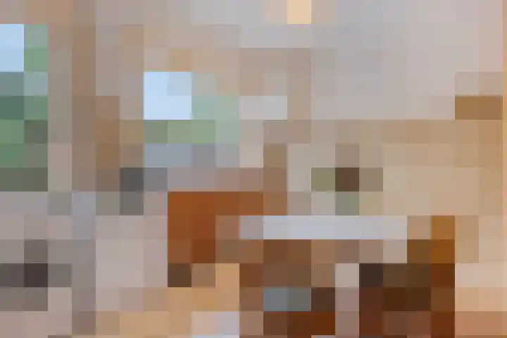Reijerskoop 69 Boskoop thumbnail 29