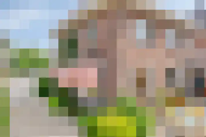 Reijerskoop 69 Boskoop foto 3