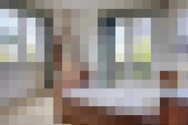 Reijerskoop 69 Boskoop thumbnail 30