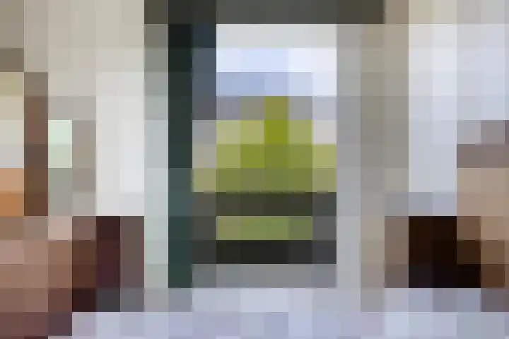 Reijerskoop 69 Boskoop thumbnail 33