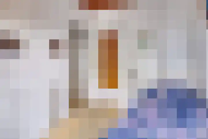 Reijerskoop 69 Boskoop thumbnail 34