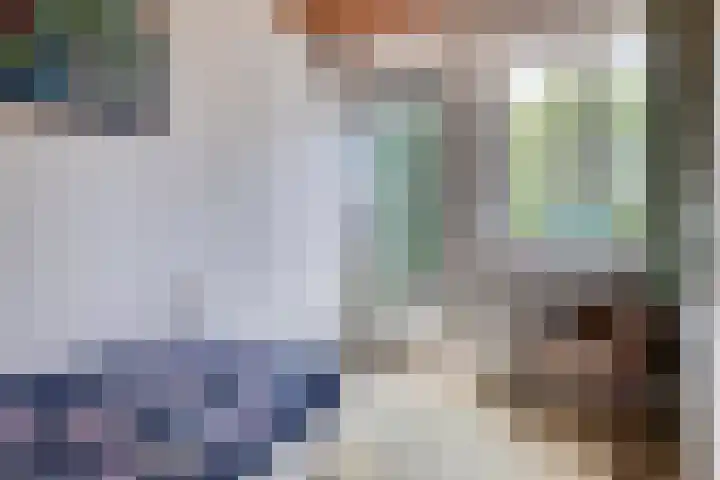 Reijerskoop 69 Boskoop thumbnail 35
