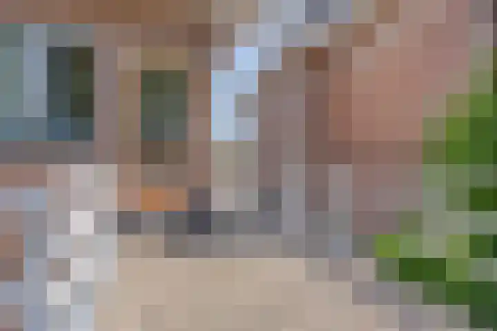 Reijerskoop 69 Boskoop thumbnail 36