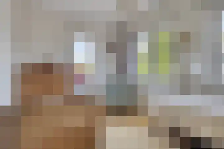 Reijerskoop 69 Boskoop thumbnail 37
