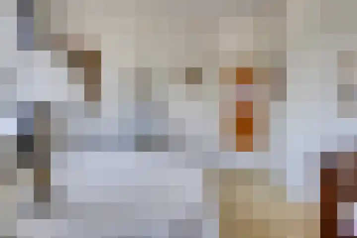 Reijerskoop 69 Boskoop thumbnail 38