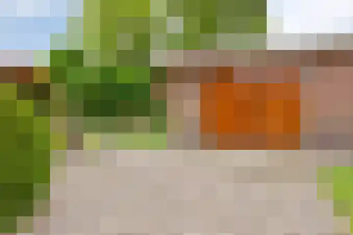 Reijerskoop 69 Boskoop thumbnail 4