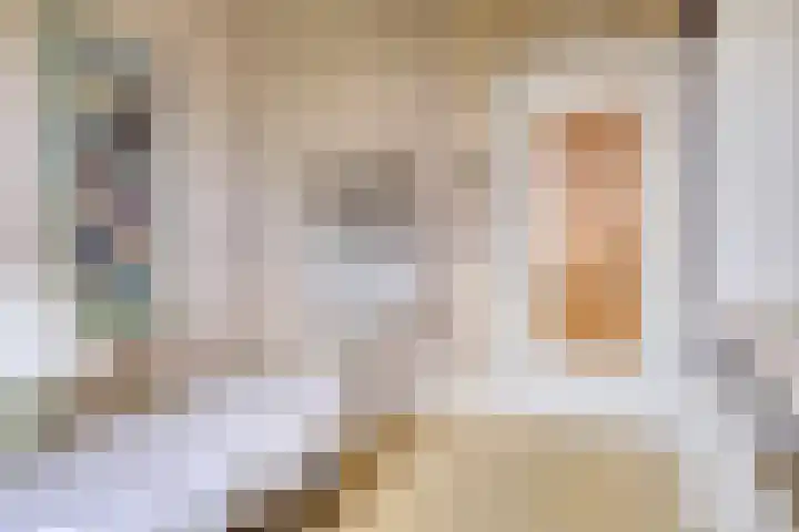 Reijerskoop 69 Boskoop thumbnail 40