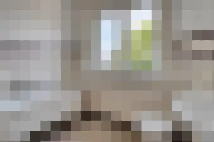 Reijerskoop 69 Boskoop thumbnail 41