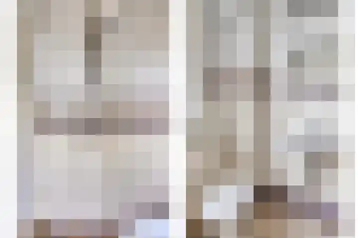 Reijerskoop 69 Boskoop thumbnail 42