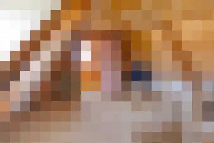 Reijerskoop 69 Boskoop thumbnail 46