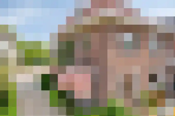 Reijerskoop 69 Boskoop thumbnail 50