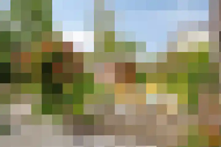 Reijerskoop 69 Boskoop thumbnail 52