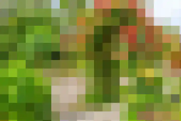 Reijerskoop 69 Boskoop thumbnail 53