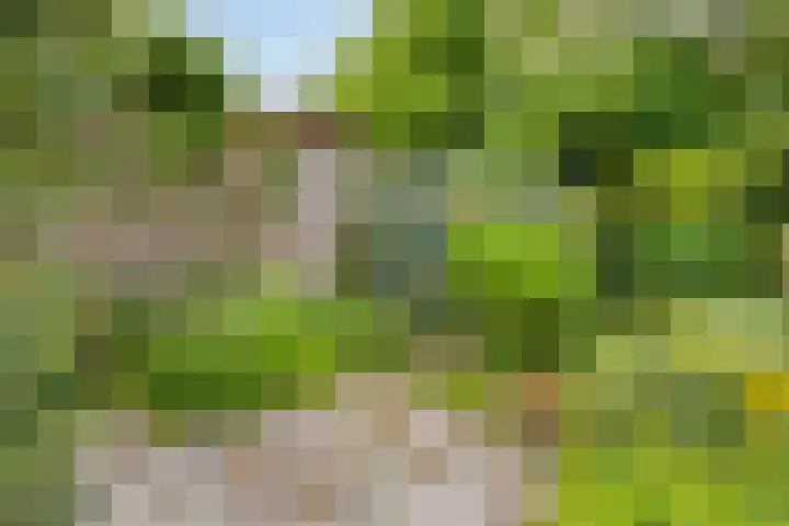 Reijerskoop 69 Boskoop thumbnail 54