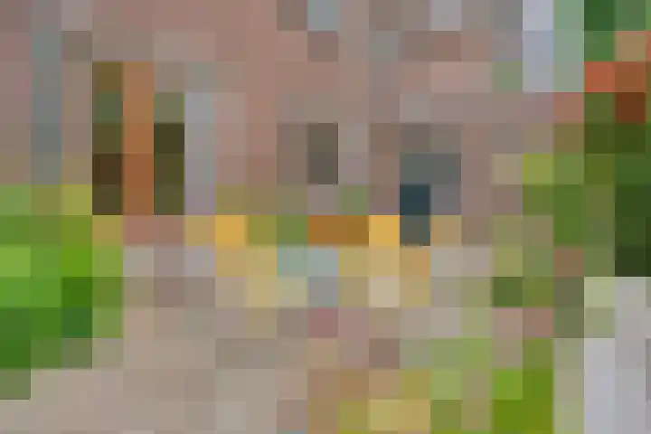 Reijerskoop 69 Boskoop thumbnail 55