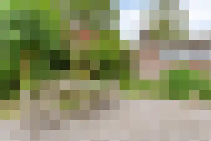Reijerskoop 69 Boskoop thumbnail 56