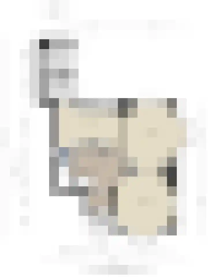 Reijerskoop 69 Boskoop thumbnail 59