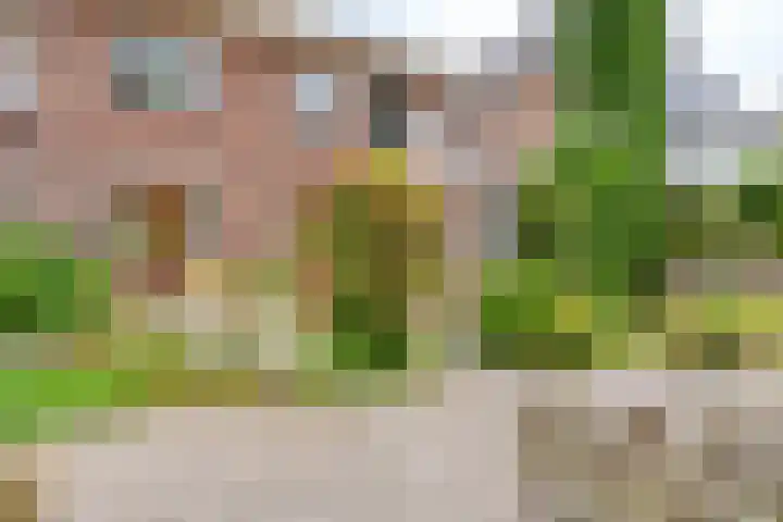 Reijerskoop 69 Boskoop thumbnail 6