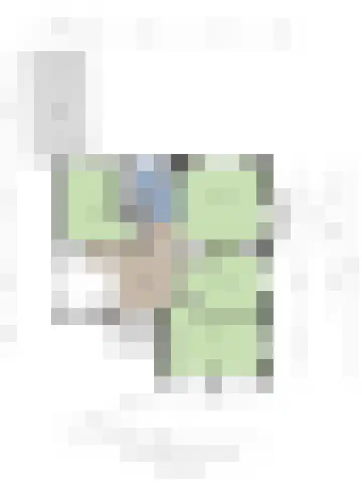 Reijerskoop 69 Boskoop thumbnail 60