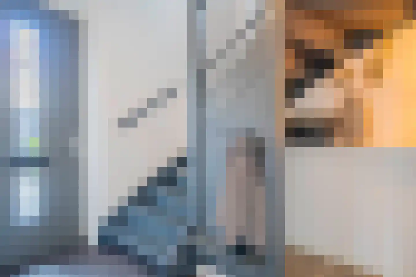 Reijerslant 1 Zuid-Scharwoude thumbnail 12