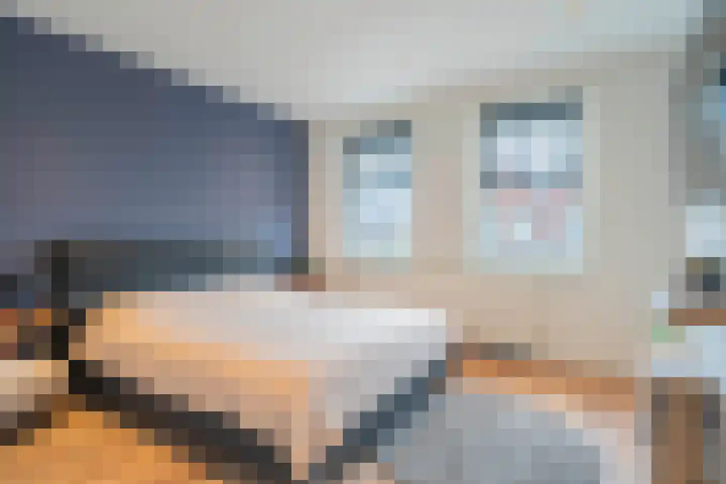 Reijerslant 1 Zuid-Scharwoude thumbnail 15
