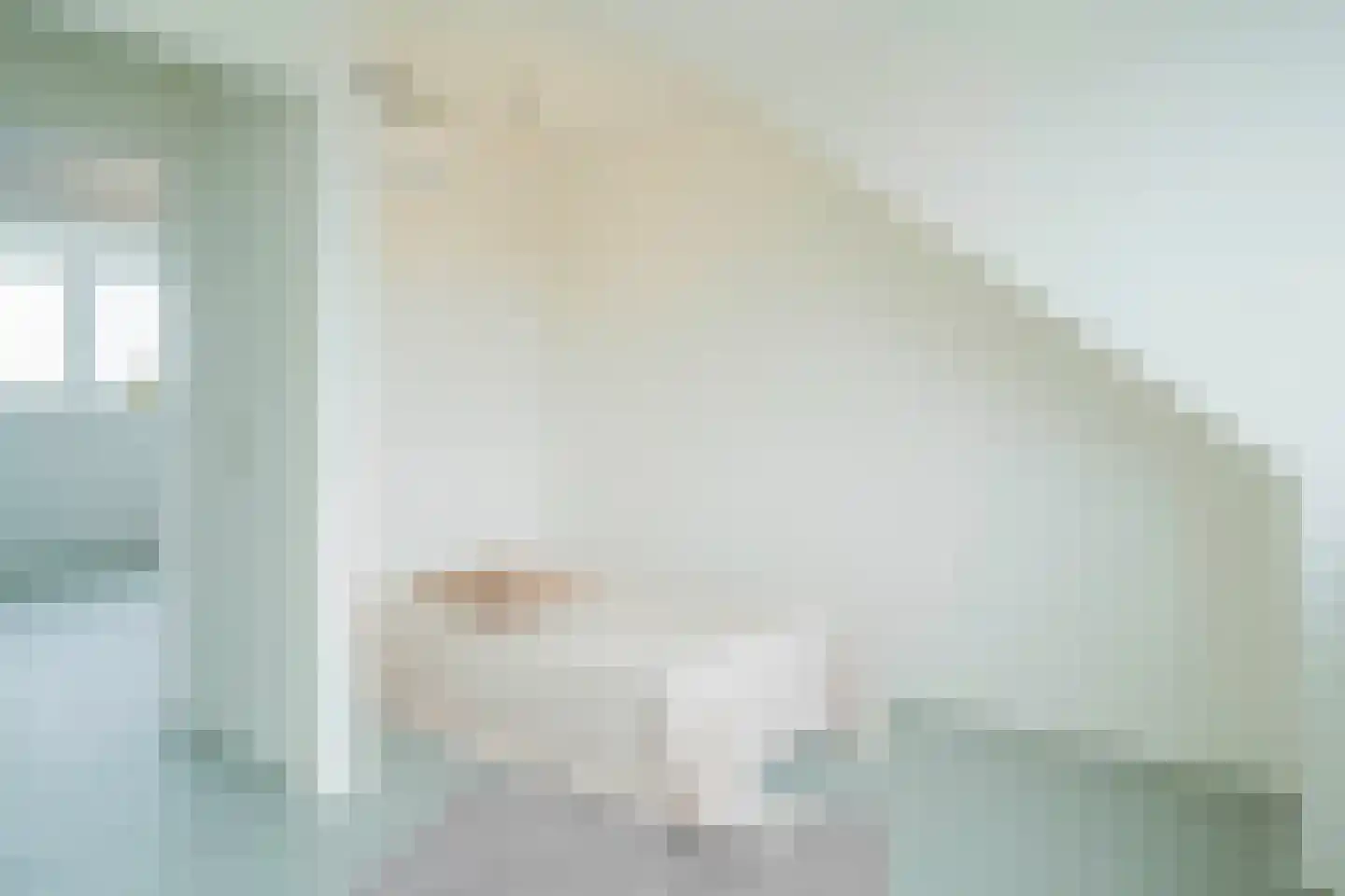 Reijerslant 1 Zuid-Scharwoude thumbnail 30