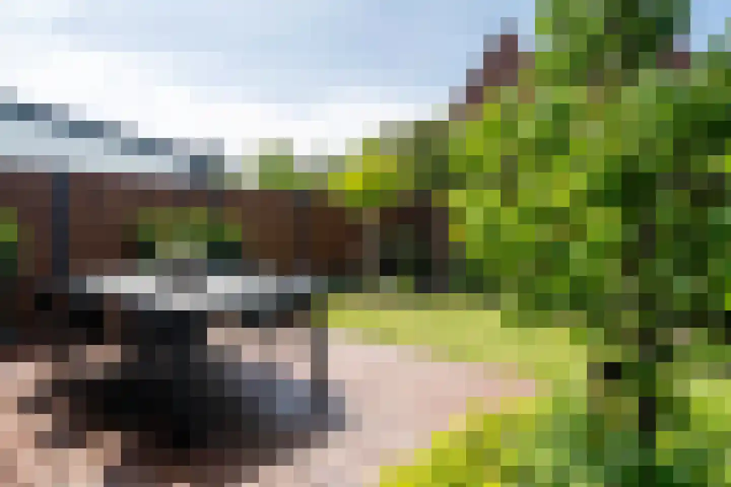 Reijerslant 1 Zuid-Scharwoude thumbnail 37