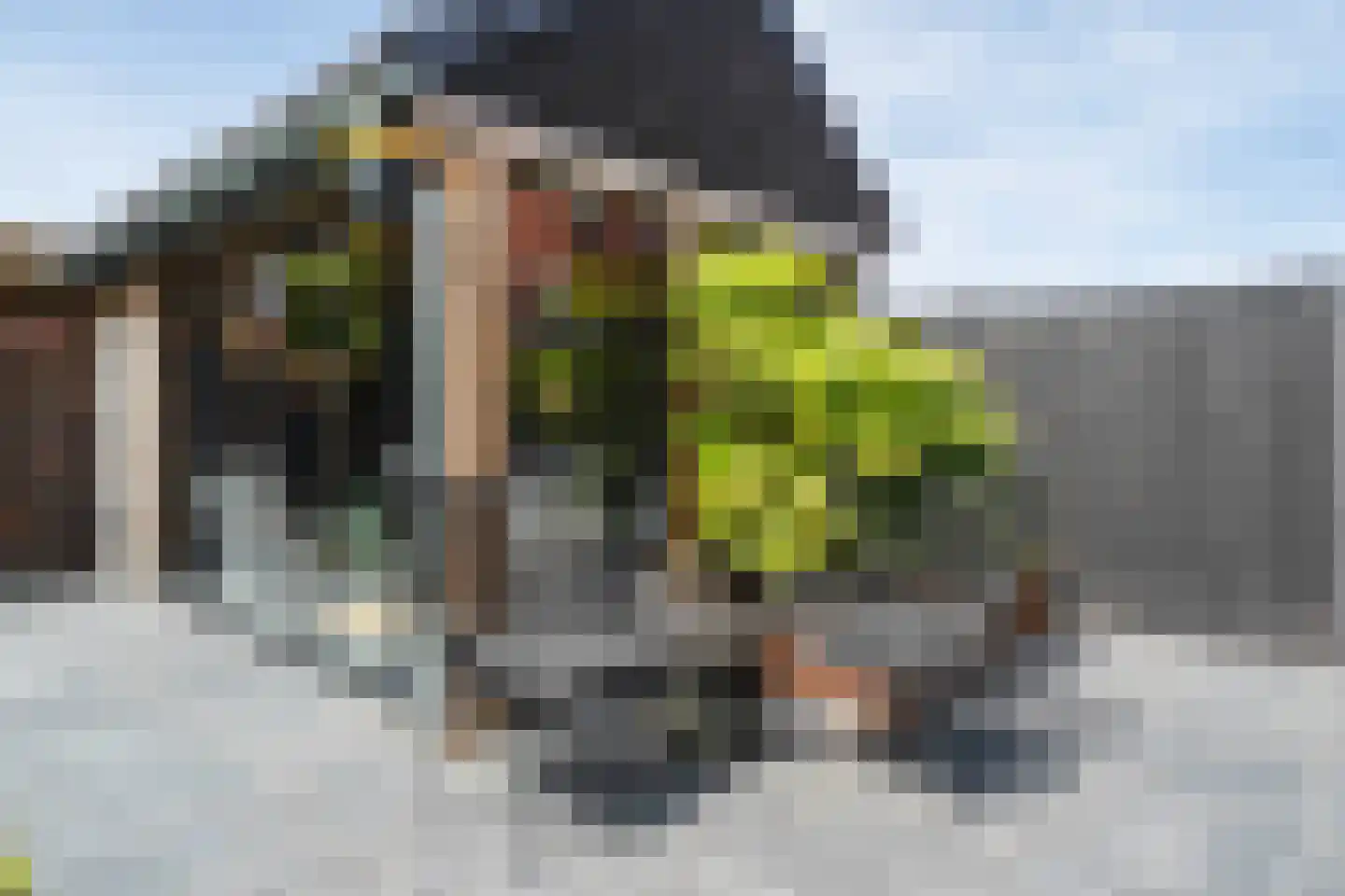 Reijerslant 1 Zuid-Scharwoude thumbnail 42