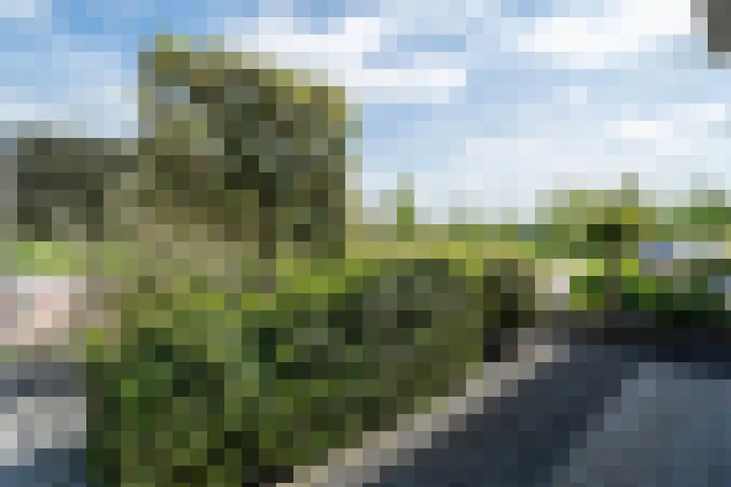 Reijerslant 1 Zuid-Scharwoude thumbnail 44