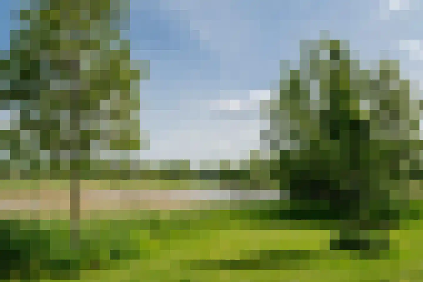 Reijerslant 1 Zuid-Scharwoude thumbnail 48