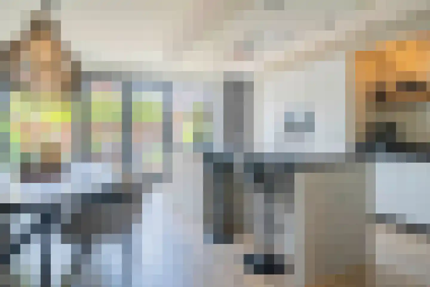 Reijerslant 1 Zuid-Scharwoude thumbnail 8