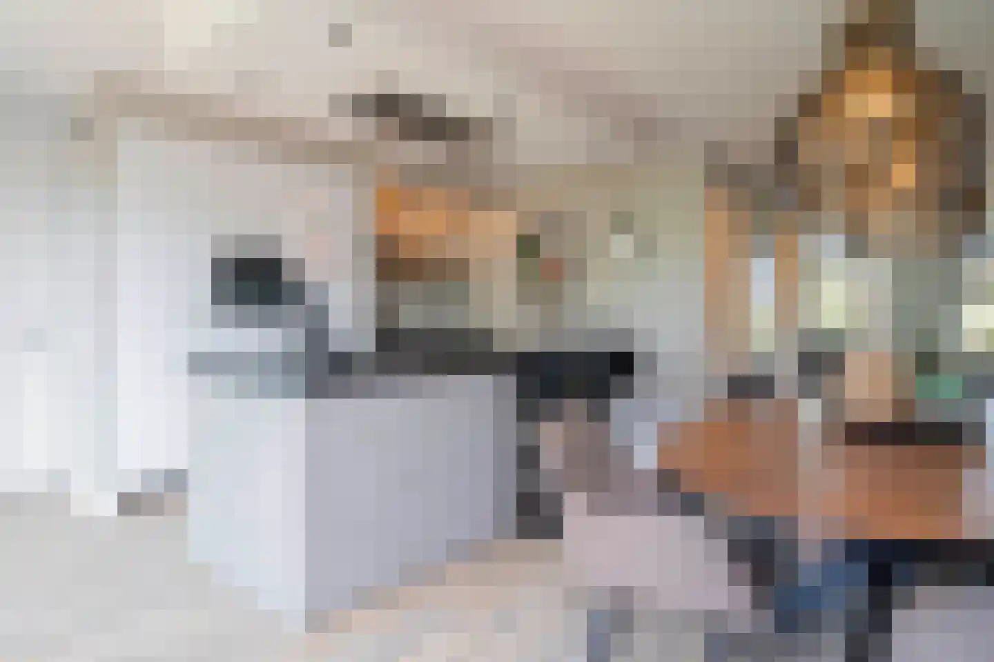 Reijerslant 1 Zuid-Scharwoude thumbnail 9
