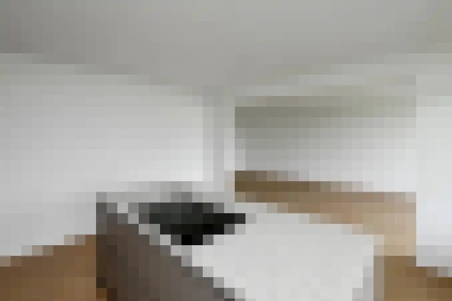 Reijersstraat 108 Elst thumbnail 7