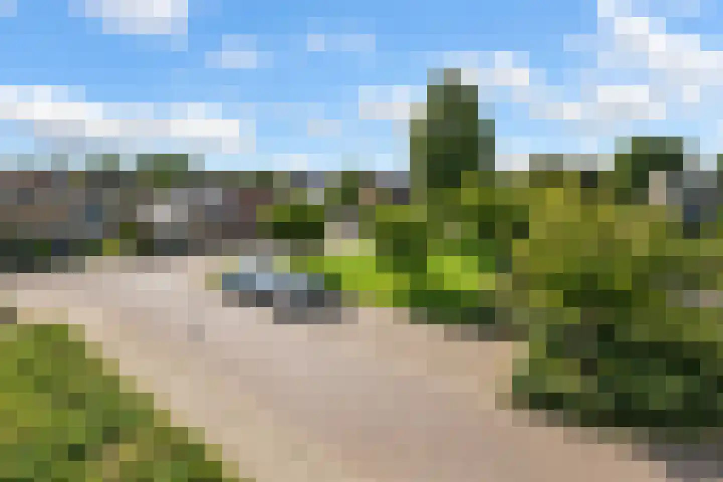 Reijersstraat 118 Elst thumbnail 6
