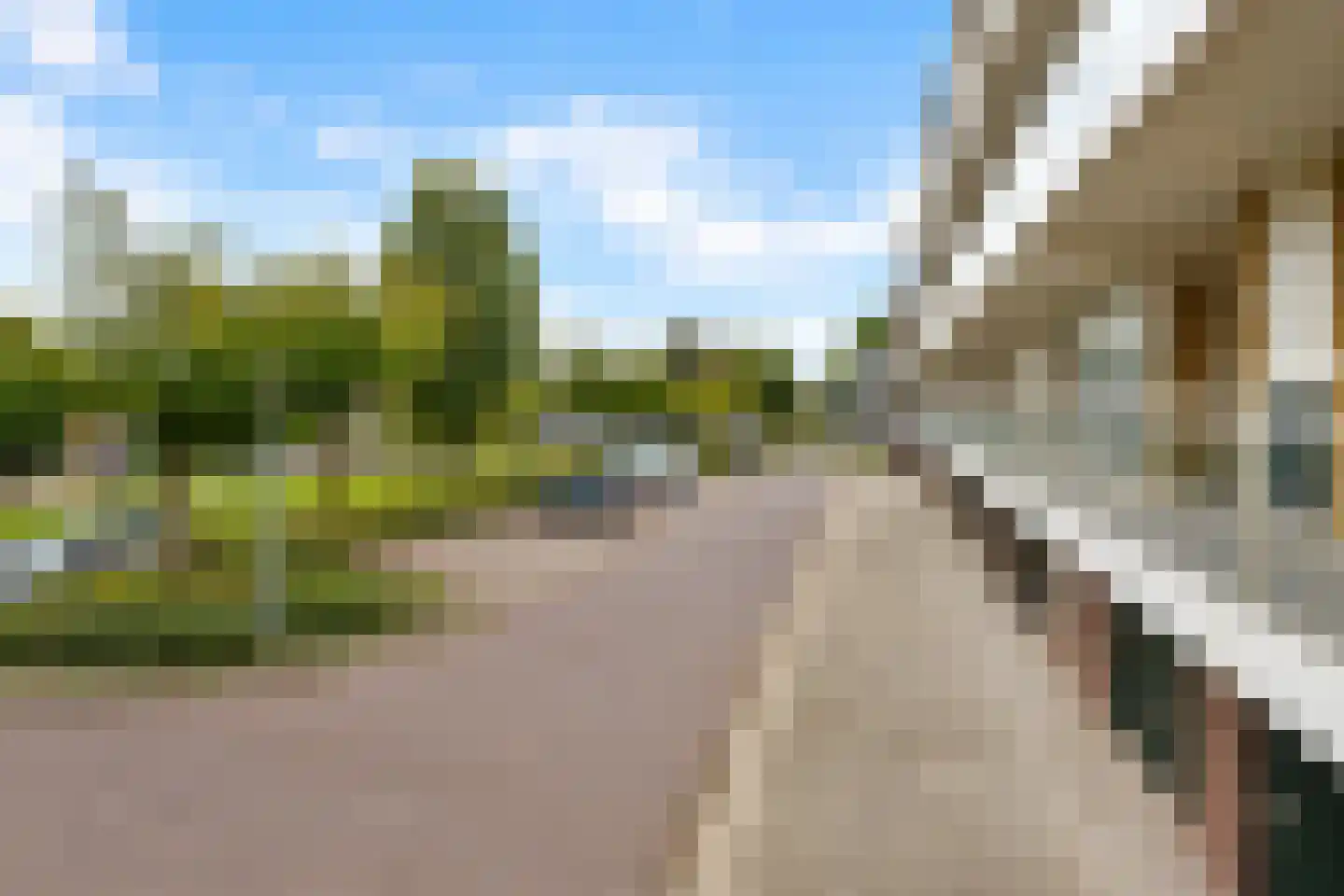 Reijersstraat 134 Elst thumbnail 25