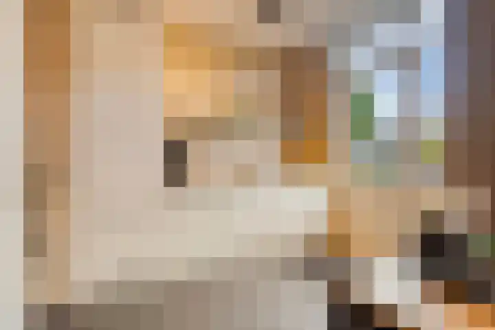 Reijersstraat 19 Elst thumbnail 18