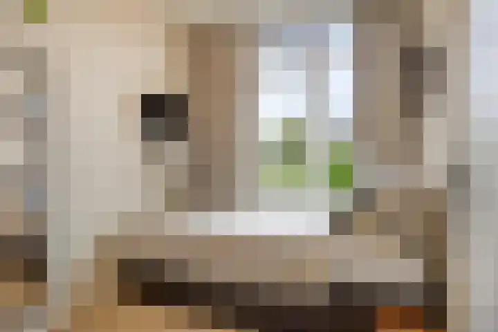 Reijersstraat 19 Elst thumbnail 25